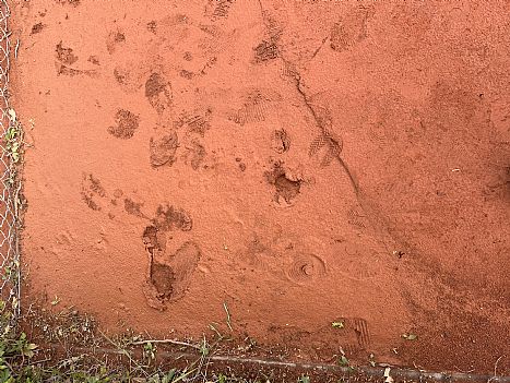  Pil ikke ved vandingsanlægget i auto-funktion - RTK